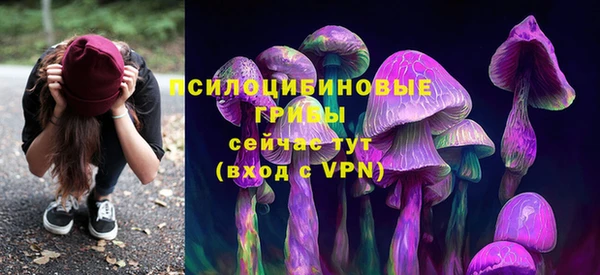 меф Армянск